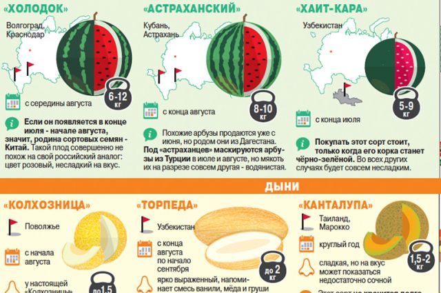 Выбор арбуза и дыни Выбор арбуза и дыни