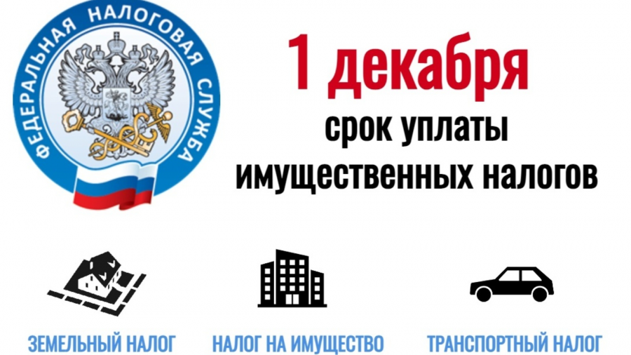 Срок уплаты имущественных налогов – не позднее 1 декабря 2025 года включительно Срок уплаты имущественных налогов – не позднее 1 декабря 2025 года включительно