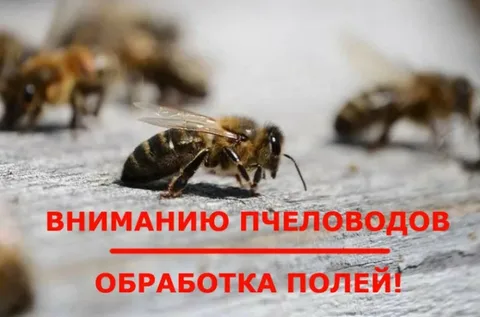 ВНИМАНИЮ ПЧЕЛОВОДОВ И НАСЕЛЕНИЯ! ВНИМАНИЮ ПЧЕЛОВОДОВ И НАСЕЛЕНИЯ!