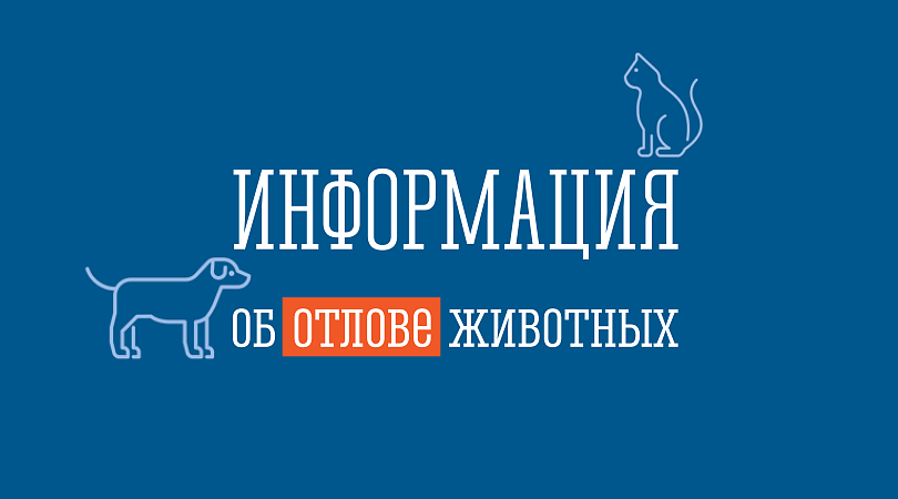 ОБЪЯВЛЕНИЕ ОБ ОТЛОВЕ БЕЗНАДЗОРНЫХ ЖИВОТНЫХ ОБЪЯВЛЕНИЕ ОБ ОТЛОВЕ БЕЗНАДЗОРНЫХ ЖИВОТНЫХ