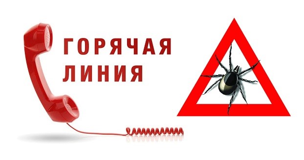 «Горячая линия» по клещевому энцефалиту.