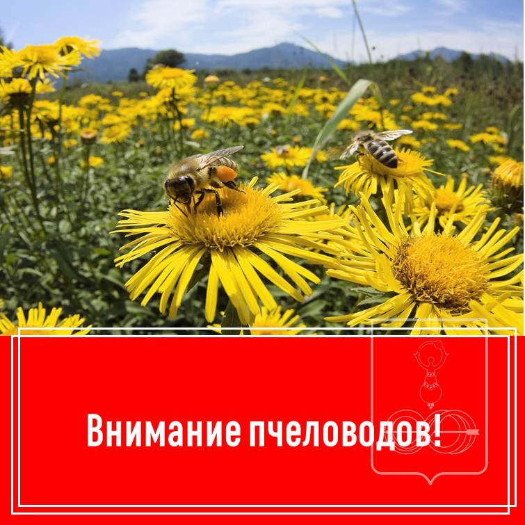 ВНИМАНИЮ НАСЕЛЕНИЯ И ПЧЕЛОВОДОВ РАЙОНА! ВНИМАНИЮ НАСЕЛЕНИЯ И ПЧЕЛОВОДОВ РАЙОНА!