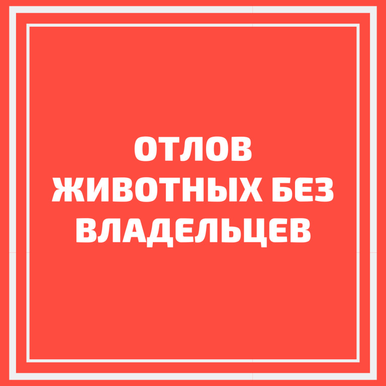 ОБЪЯВЛЕНИЕ ОБ ОТЛОВЕ БЕЗНАДЗОРНЫХ ЖИВОТНЫХ 