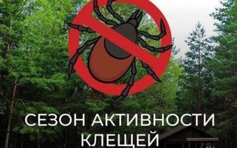 Сезон активности клещей