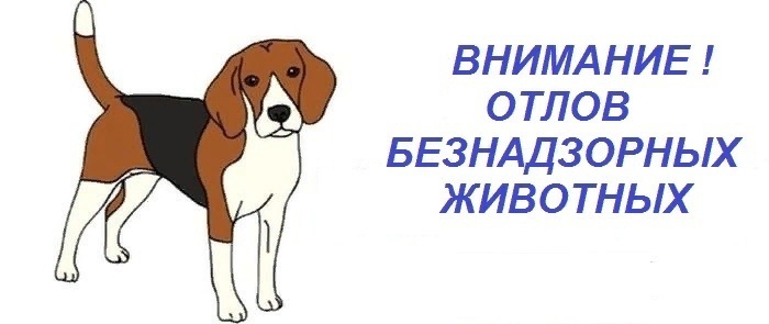 Администрация муниципального образования Староминский муниципальный район Краснодарского края, информирует население района о том, что в период с 06 октября 2025 года по 07 октября 2025 года будет проведен отлов животных без владельцев