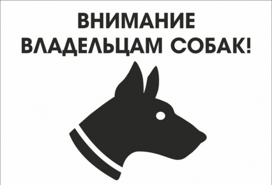 Вниманию жителей МО Староминский район,  а также лиц имеющих в собственности собак!