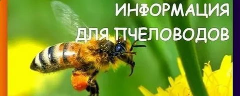ВНИМАНИЮ НАСЕЛЕНИЯ И ПЧЕЛОВОДОВ РАЙОНА! ВНИМАНИЮ НАСЕЛЕНИЯ И ПЧЕЛОВОДОВ РАЙОНА!