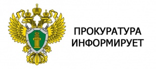Целевое обучение в вузах для будущих работников прокуратуры: набор кандидатов