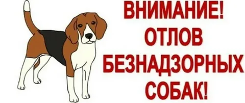 Уважаемые жители Староминского района!