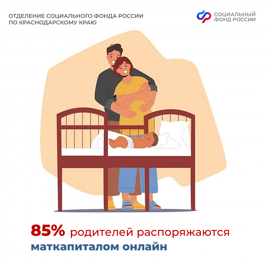 Большинство родителей распоряжается материнским капиталом от Отделения Соцфонда по Краснодарскому краю онлайн