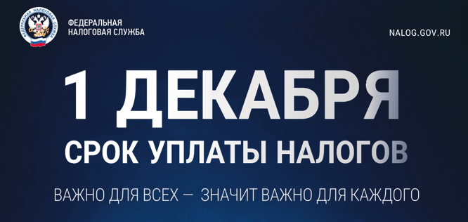 Уплатить имущественные налоги необходимо  в срок не позднее 1 декабря 2026 года