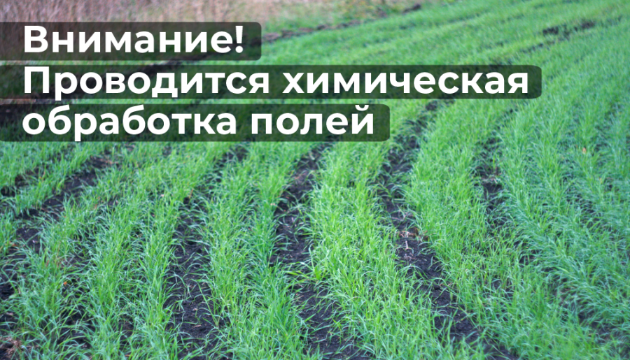 Оповещение об обработках Оповещение об обработках