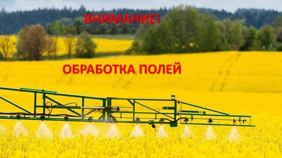 Обработка химическими средствами защиты растений земельных участков Обработка химическими средствами защиты растений земельных участков