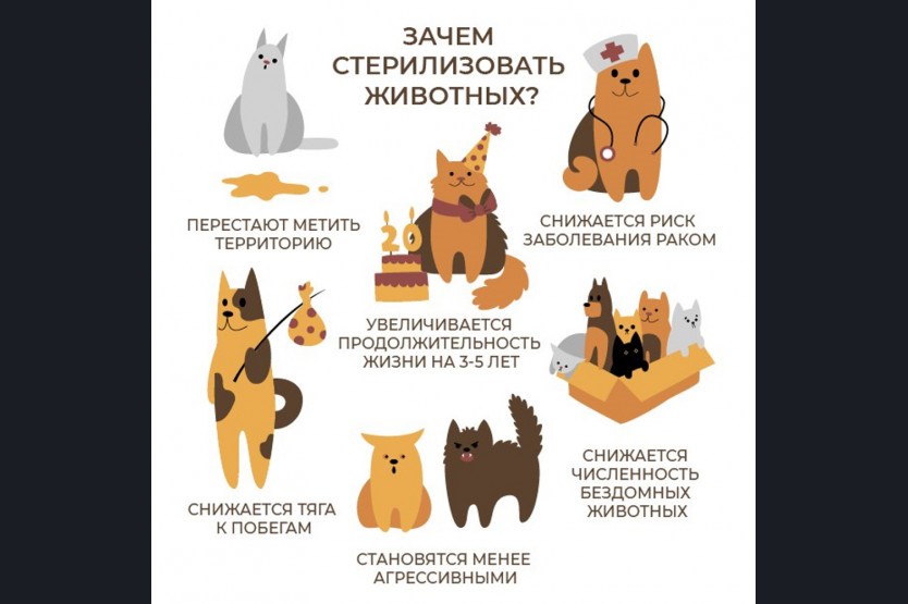 ПАМЯТКА ДЛЯ НАСЕЛЕНИЯ ПО ОТВЕТСТВЕННОМУ ОБРАЩЕНИЮ С ЖИВОТНЫМИ