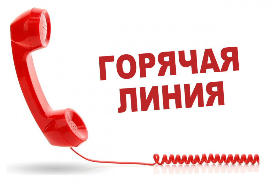 Телефон горячей линии по отлову животных без владельцев в Староминском районе