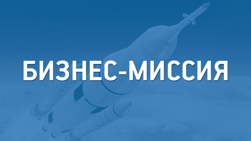 О проведении бизнес-миссии российских регионов