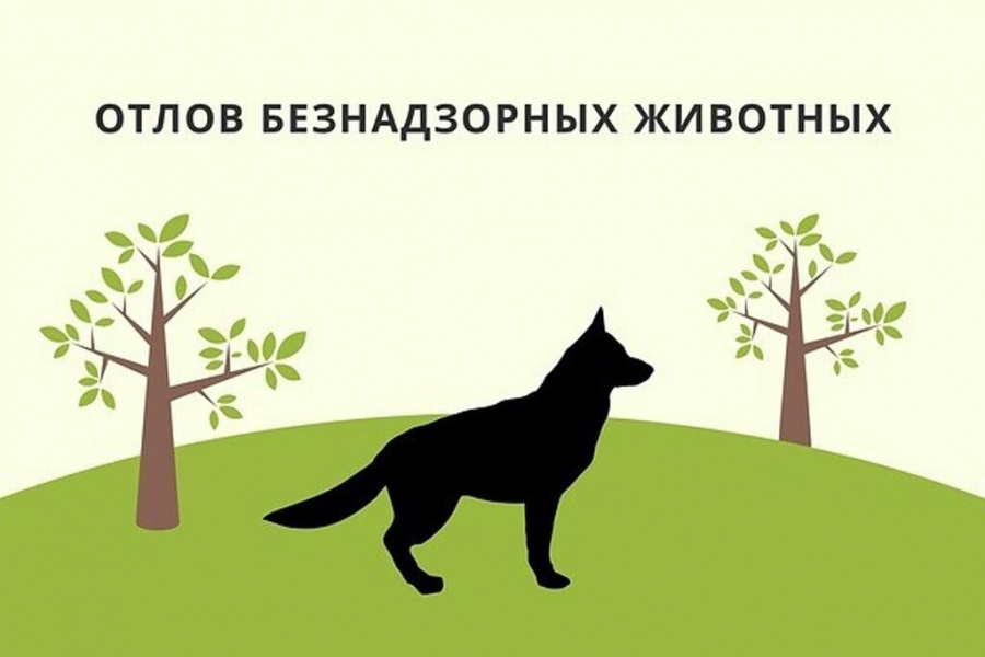 Администрация муниципального образования Староминский муниципальный район Краснодарского края, информирует население района о том, что 25-26 сентября 2025 года будет проведен отлов животных без владельцев на территории МО Староминский район Администрация муниципального образования Староминский муниципальный район Краснодарского края, информирует население района о том, что 25-26 сентября 2025 года будет проведен отлов животных без владельцев на территории МО Староминский район