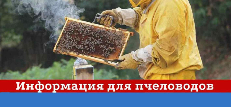 ВНИМАНИЮ НАСЕЛЕНИЯ И ПЧЕЛОВОДОВ! ВНИМАНИЮ НАСЕЛЕНИЯ И ПЧЕЛОВОДОВ!
