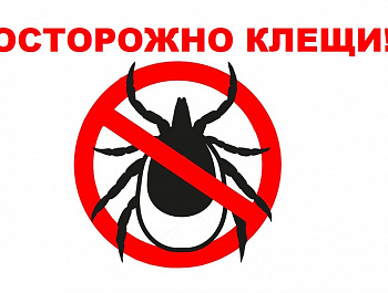 ОСТОРОЖНО КЛЕЩИ!!!!
