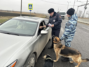 Сотрудники Госавтоинспекции Староминского района на автодорогах проводят профилактические беседы с водителями о необходимости неукоснительного соблюдения ПДД