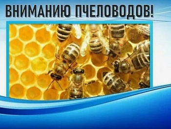 ВНИМАНИЮ НАСЕЛЕНИЯ И ВЛАДЕЛЬЦЕВ ПЧЕЛОПАСЕК!