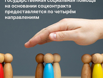 Виды социальных контрактов