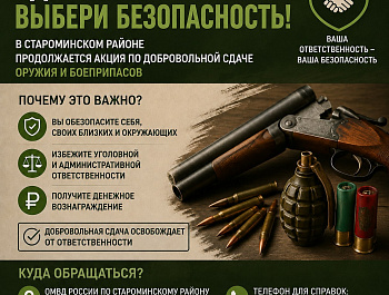 Добровольная сдача оружия и боеприпасов