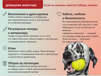 Если ты хочешь завести собаку, помни!